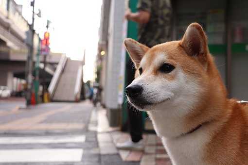 真正實在的人什麼樣 實在才是聰明人的表現