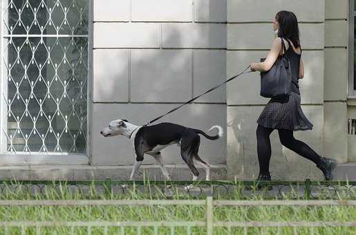 追女人的時候，送這3樣禮物，她會主動來找你