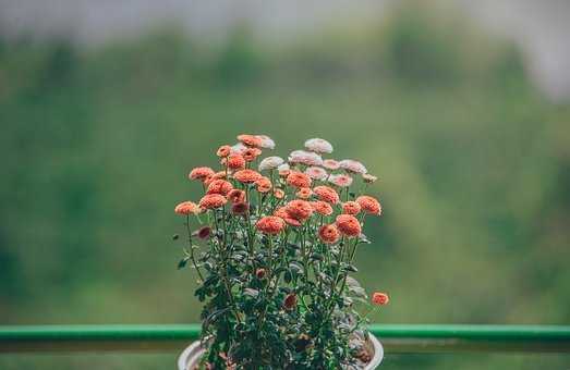 婚姻出現小三怎麼辦？老公有小三怎麼處理