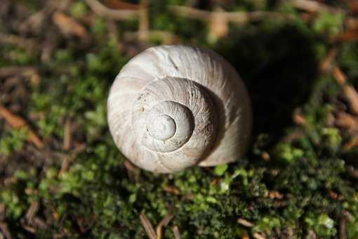 中年夫妻如何愉快相處 讓生活處處充滿驚喜