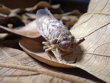 男人花錢攻略：有限的資源無盡的愛