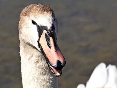 他对我是认真的吗？3个真爱征兆帮你检测他是否认真