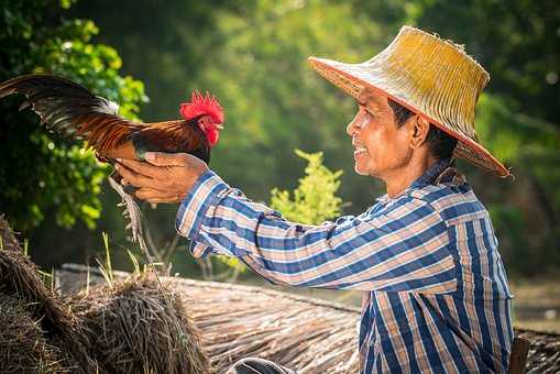 全世界女人都該擁抱穿連帽衫的男人