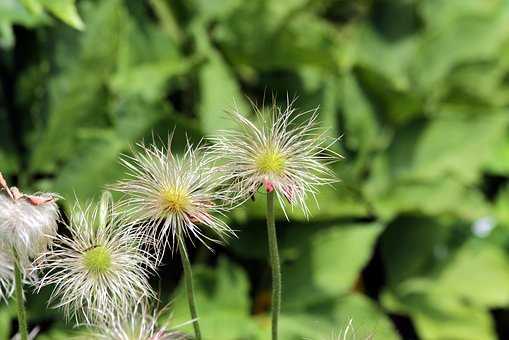 遇上處處算計的農村婆婆 太精明太會算計處處吃暗虧