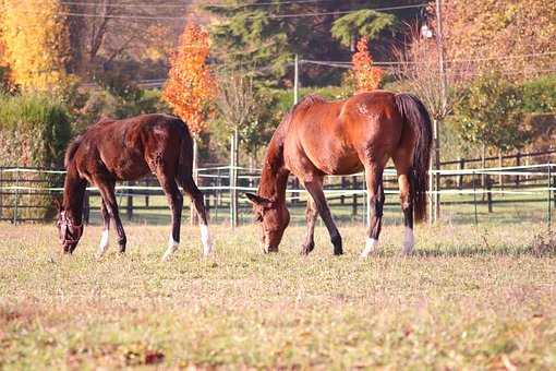 別人測評香水vs我測評香水 男友負責給女朋友買香水