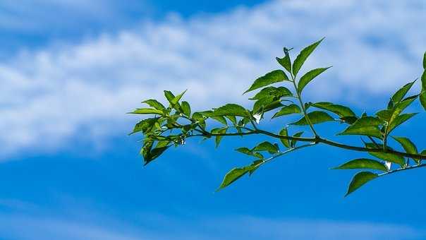 周末愉快微信心情句子 最美好的祝福送給朋友