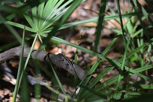 老公為生二胎逼我離婚 流產後我對要孩子死心了