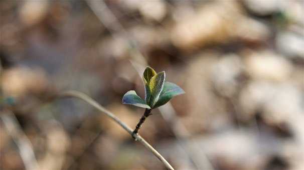 五種比較常用的搭訕開頭 約炮脫單勢在必行!