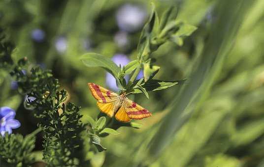 特別依賴閨蜜怎麼辦 你需要認清你自己