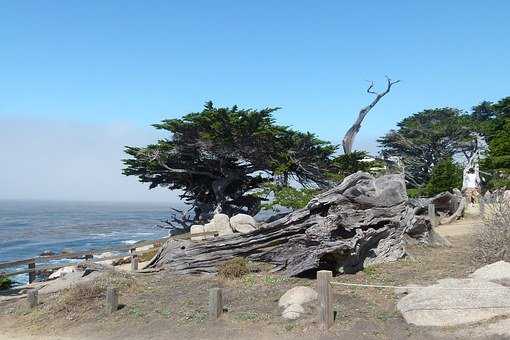 異地戀感情淡了怎麼辦 異地戀沒話題了怎麼辦