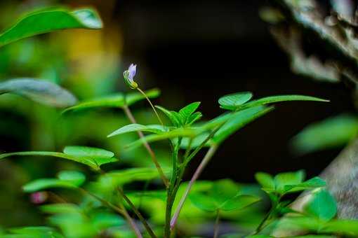 女朋友生氣了？教你這樣哄，分分鐘搞定