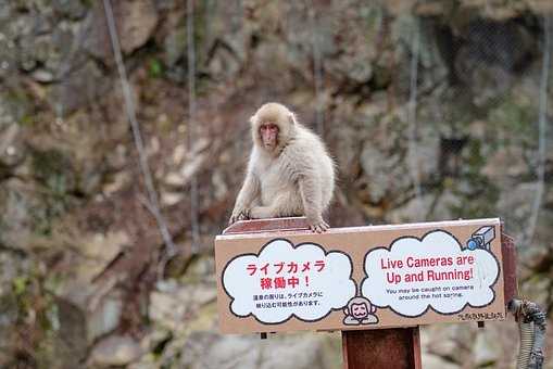 分手了想挽回怎麼辦？老師教你幾招，助你輕鬆挽回